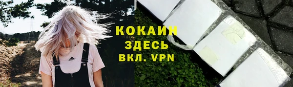 стафф Арсеньев