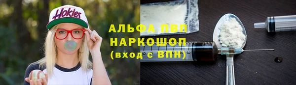 стафф Арсеньев