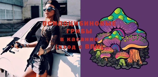 метадон Аркадак